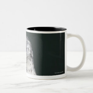 Tasse 2 Couleurs Un joint de port
