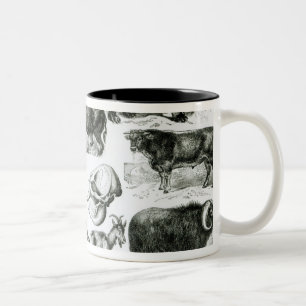 Tasse 2 Couleurs Ungulata ou animaux à sabots