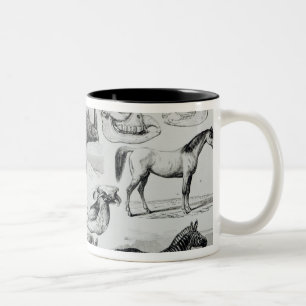 Tasse 2 Couleurs Ungulata ou animaux à sabots