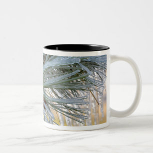Tasse 2 Couleurs USA, Oregon, Bend. Les aiguilles de pin ponderosa