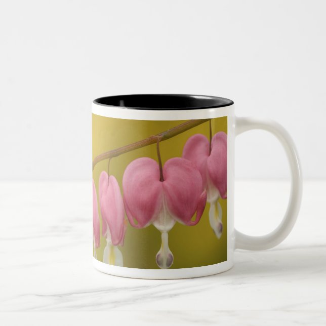 Tasse 2 Couleurs USA, Virginie, Arlington, fermeture rose (Droit)