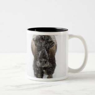 Tasse 2 Couleurs USA, WY, Yellowstone NP, Bison américain