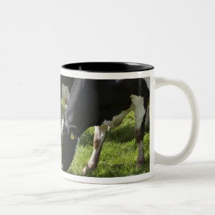 Tasse 2 Couleurs Vaches laitières frôlant dans le pâturage