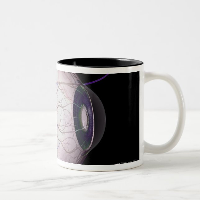 Tasse 2 Couleurs Vaisseaux sanguins de l'oeil (Droit)
