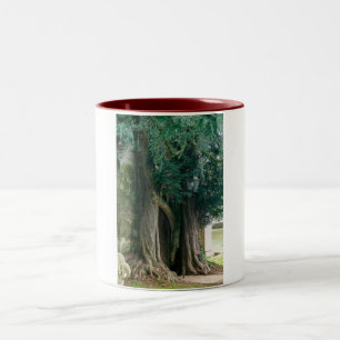 Tasse 2 Couleurs Vieux arbres de Yew