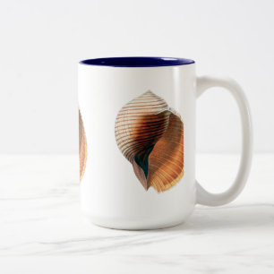 Tasse 2 Couleurs Vintage Sea Shell