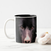 Visage Collie Bordure Noire Personnalisé