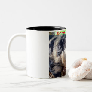 Tasse 2 Couleurs Vœux de Noël mon vieux sanglier