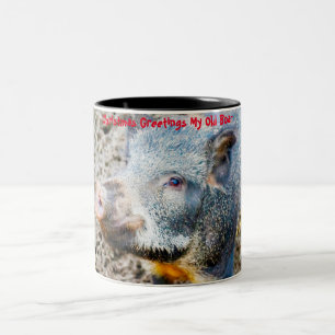 Tasse 2 Couleurs Vœux de Noël mon vieux sanglier