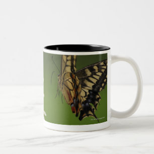 Tasse 2 Couleurs Vol de machaon de Vieux Monde