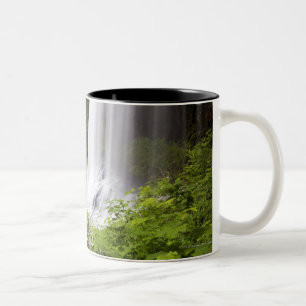 Tasse 2 Couleurs Vue brouillée de cascade et de forêt en Orégon