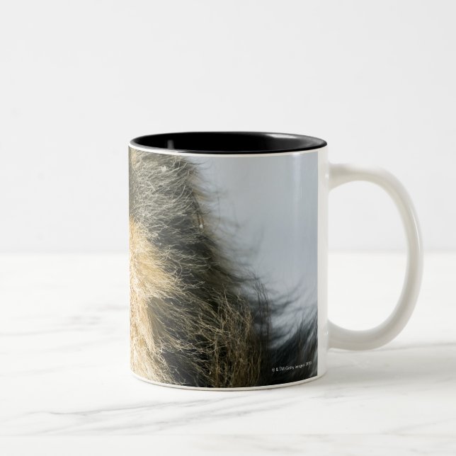 Tasse 2 Couleurs Vue de chien de berger de Shetland (Droit)