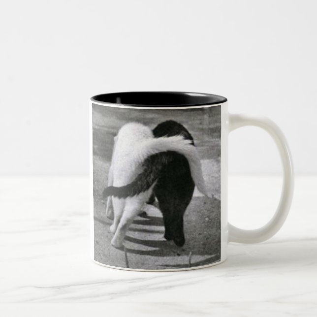 Tasse 2 Couleurs w7ij4i [1] (Droit)