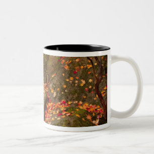 Tasse 2 Couleurs WA, Seattle, arboretum du Washington Park, japonai