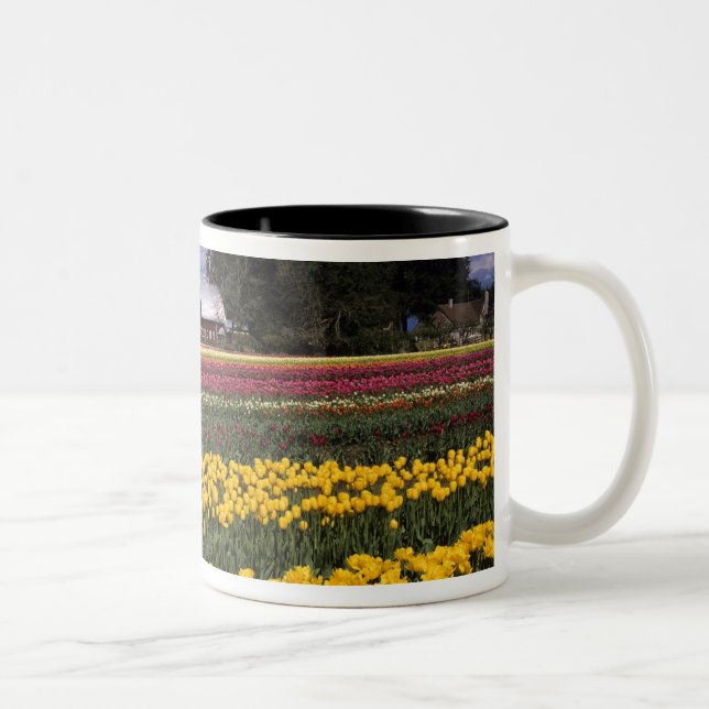 Tasse 2 Couleurs WA, Skagit Valley, Skagit Valley Tulip (Droit)