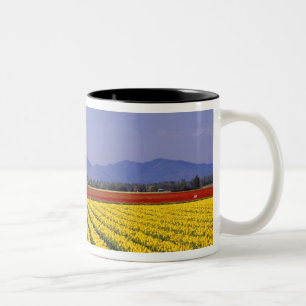 Tasse 2 Couleurs WA, vallée de Skagit, Tulipes de la vallée de Skag