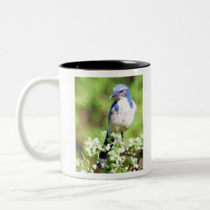 Tasse 2 Couleurs Western Scrub Jay