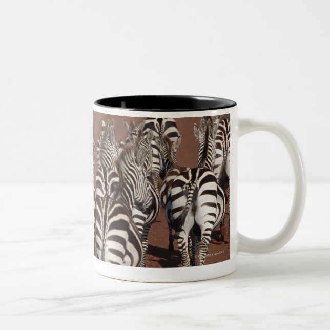 Tasse 2 Couleurs Zèbre 4 de Grant (Droit)