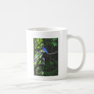 Tasse 2 de photo d'oiseau bleu