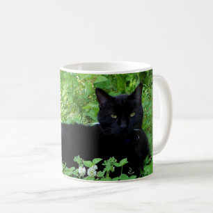 Tasse à café avec photo de chat domestique