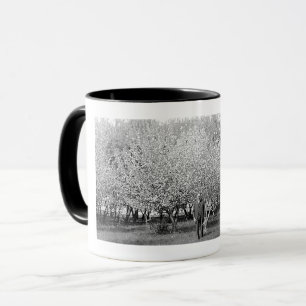 Tasse à café avec photo réelle d'un homme américai