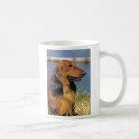 tasse à cheveux longs rouge de teckel