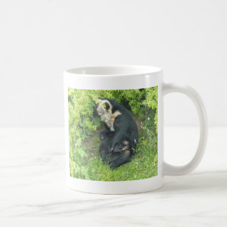 Tasse à lunettes d'ours, collection d'animaux