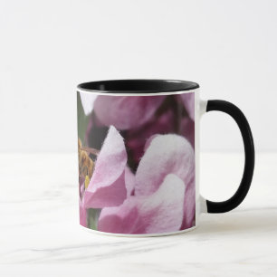 Tasse Abeille pollinisant la floraison d'un pommier crab
