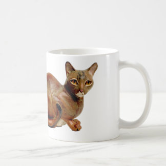 Tasse abyssinienne de chat d'abbaye