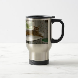 Tasse abyssinienne de voyage de chat