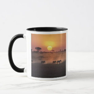 Tasse Afrique, Kenya, Amboseli NP. Les zèbres marchent v