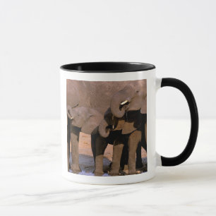 Tasse Afrique, Tanzanie, Parc national de Tarangire.