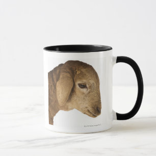 Tasse Agneau domestique