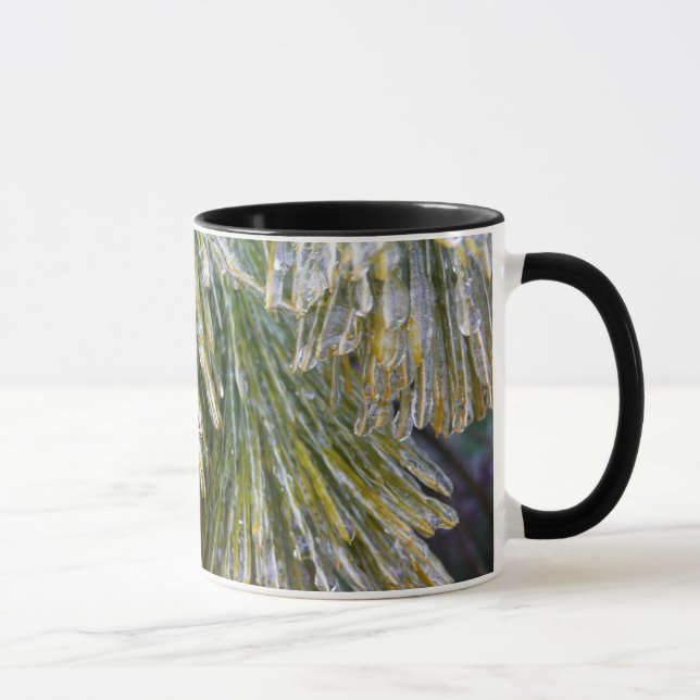 Tasse Aiguilles de pin recouvert de glace Botanique hive (Droite)