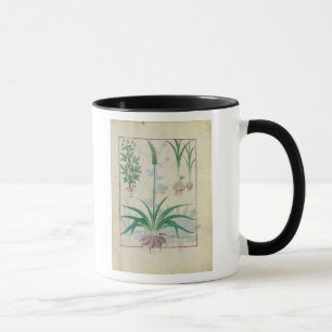 Tasse Ail et d'autres plantes