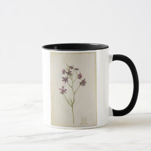 Tasse Ajacis de delphinium, c.1568