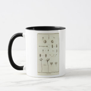 Tasse Alaska 3