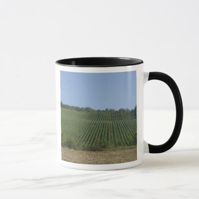 Tasse Allemagne, Franconie, Rothenburg. Vue le long de (Droite)