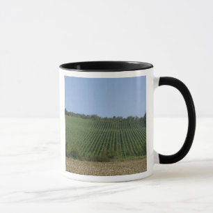 Tasse Allemagne, Franconie, Rothenburg. Vue le long de l