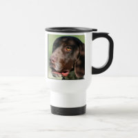 Tasse allemande d'indicateur aux cheveux courts