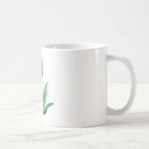 Tasse Aloe Vera, botanisch