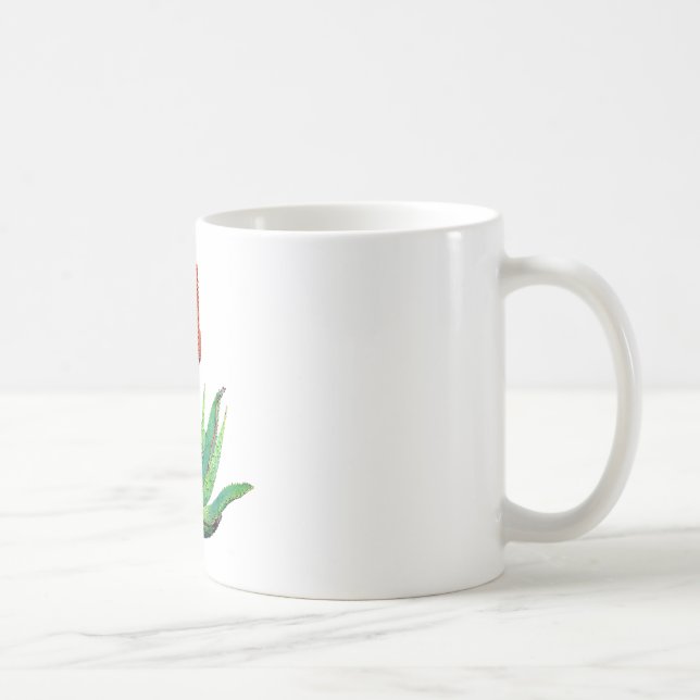 Tasse Aloe Vera, botanisch (Rechts)