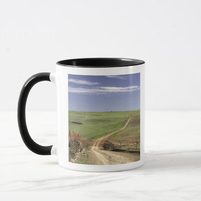 Tasse Aloès fleurissant près de Caledon, le (Gauche)