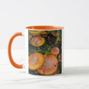 Tasse amanites tue-mouches au lac Mowich