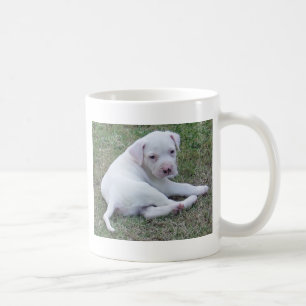 Tasse américaine de chiot de bouledogue