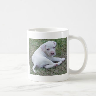 Tasse américaine de chiot de bouledogue