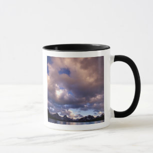 Tasse Amérique du Nord, Canada, Alberta, Jasper 5