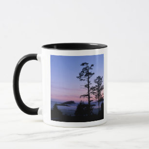 Tasse Amérique du Nord, Canada, île de Vancouver, arbr