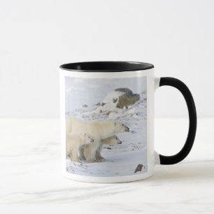 Tasse Amérique du Nord, Canada, Manitoba, Churchill