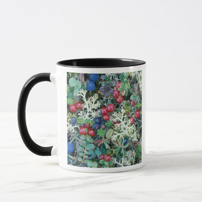 Tasse Amérique du Nord, États-Unis, Alaska, Paysage, bai (Gauche)